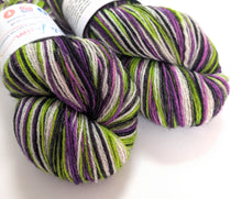 Load image into Gallery viewer, Beetlejuice on Exmoor sock yarn.
