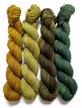 Load image into Gallery viewer, Golden green set on sw merino/nylon sock 4 x 50g or 20g.
