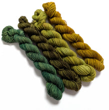 Load image into Gallery viewer, Golden green set on sw merino/nylon sock 4 x 50g or 20g.
