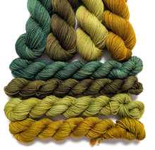 Load image into Gallery viewer, Golden green set on sw merino/nylon sock 4 x 50g or 20g.
